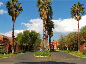 224 m² Office Space in Fourways