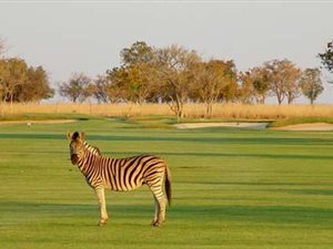 1801 m² Land available in Koro Creek Golf Estate