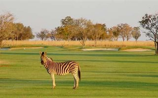 1801 m² Land available in Koro Creek Golf Estate