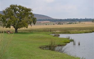 7000 m² Land available in Sterkfontein and surrounds