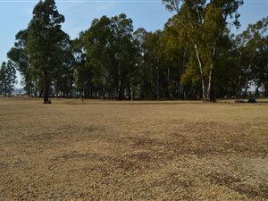 2 ha Farm in Dreamlands