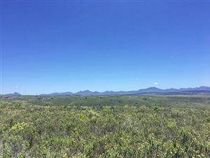 300 m² Land available in Gondwana Game Reserve