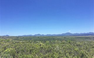 300 m² Land available in Gondwana Game Reserve