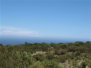 4262 m² Land available in Pezula Private Estate