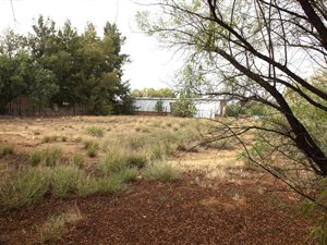 1488 m² Land available in Carnarvon