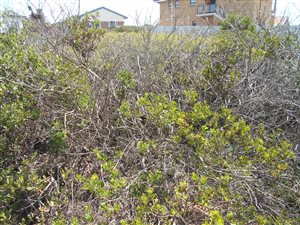 651 m² Land available in Boggoms Bay