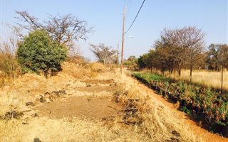 900 m² Farm in The Orchards