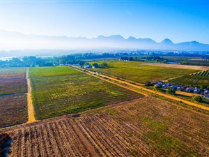 9 ha Farm in Northern Paarl