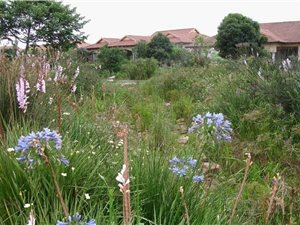 3 Bed Simplex in Le Domaine