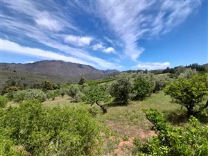 9.6 ha Farm in Piketberg