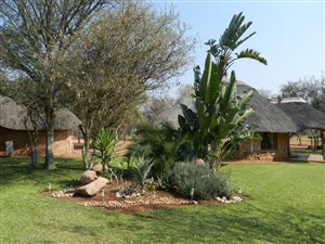 1715 ha Farm in Alldays