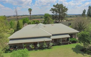 21 ha Farm in Middelburg