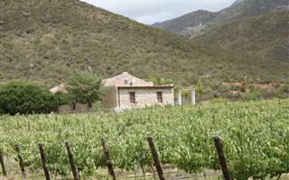 65.6 ha Farm in Ladismith