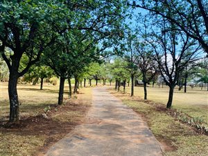 3.8 ha Farm in Northdene