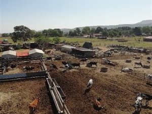 4.8 ha Farm in Heidelberg AH