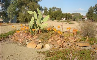 2179 m² Land available in Oranjeville