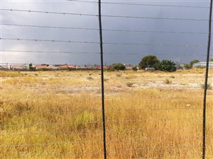 3.8 ha Farm in Ivydale
