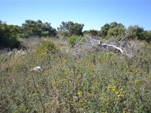 591 m² Land available in Fountains Estate