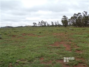 250 m² Land available in Golden Gardens