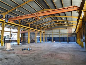 11767 m² Industrial space in Alrode