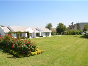 11 ha Farm in Parys