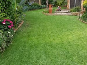 4 Bed House in Van Riebeeck Park