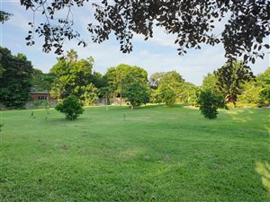 1958 m² Land available in Kwambonambi