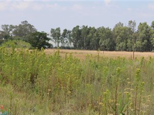 1975 m² Land available in Deneysville