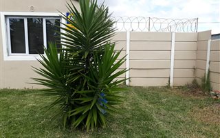 2 Bedroom House in Athlone