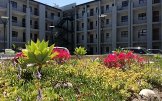 0.5 Bedroom Apartment in Stellenbosch Central