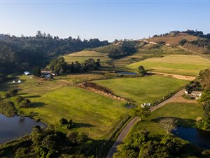 28 ha Farm in Assagay