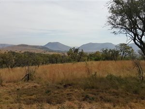 21 ha Farm in Hennops River