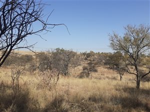 21 ha Farm in Hennops River