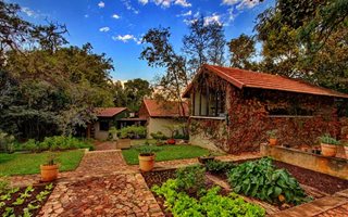 21 ha Farm in Tiegerpoort