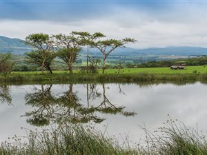 20 ha Land available in Hilton