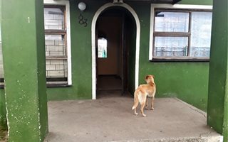 2 Bedroom House in Avonwood