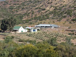 4 Bed House in Ladismith