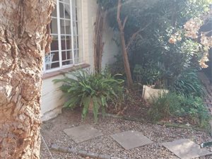2 Bed Apartment in Sandringham