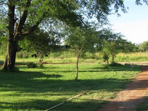 5 ha Farm in Onderstepoort