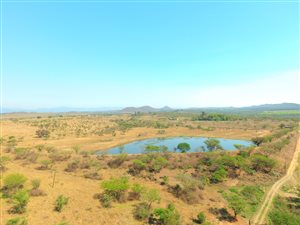 88 ha Farm in Barberton
