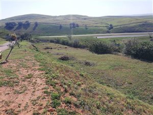 564 m² Land available in Panorama Park