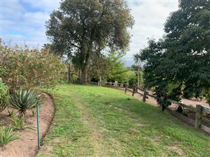 4.2 ha Farm in Knysna Central