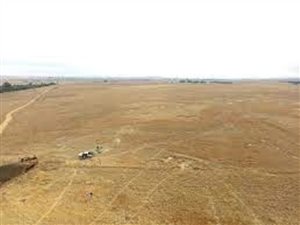 164.8 ha Farm in Carolina