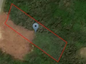 1017 m² Land available in Tinley Manor and surrounds