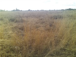 2.2 ha Land available in Louisrus