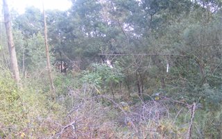 1800 m² Land available in Suurbraak