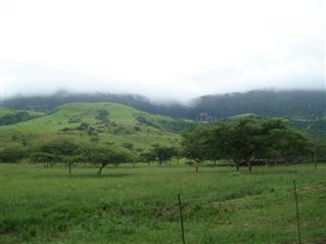 840 ha Farm with House in Vryheid