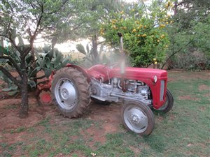 21 ha Farm in Middelburg Central