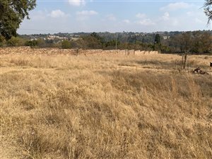 8100 m² Land available in Chartwell AH