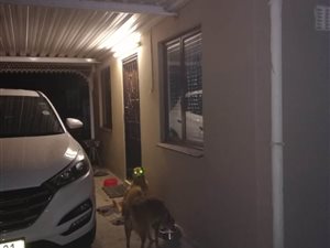 3 Bedroom House in Bonela